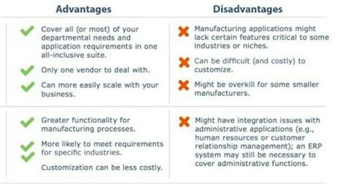 advantages and disadvantages of software.